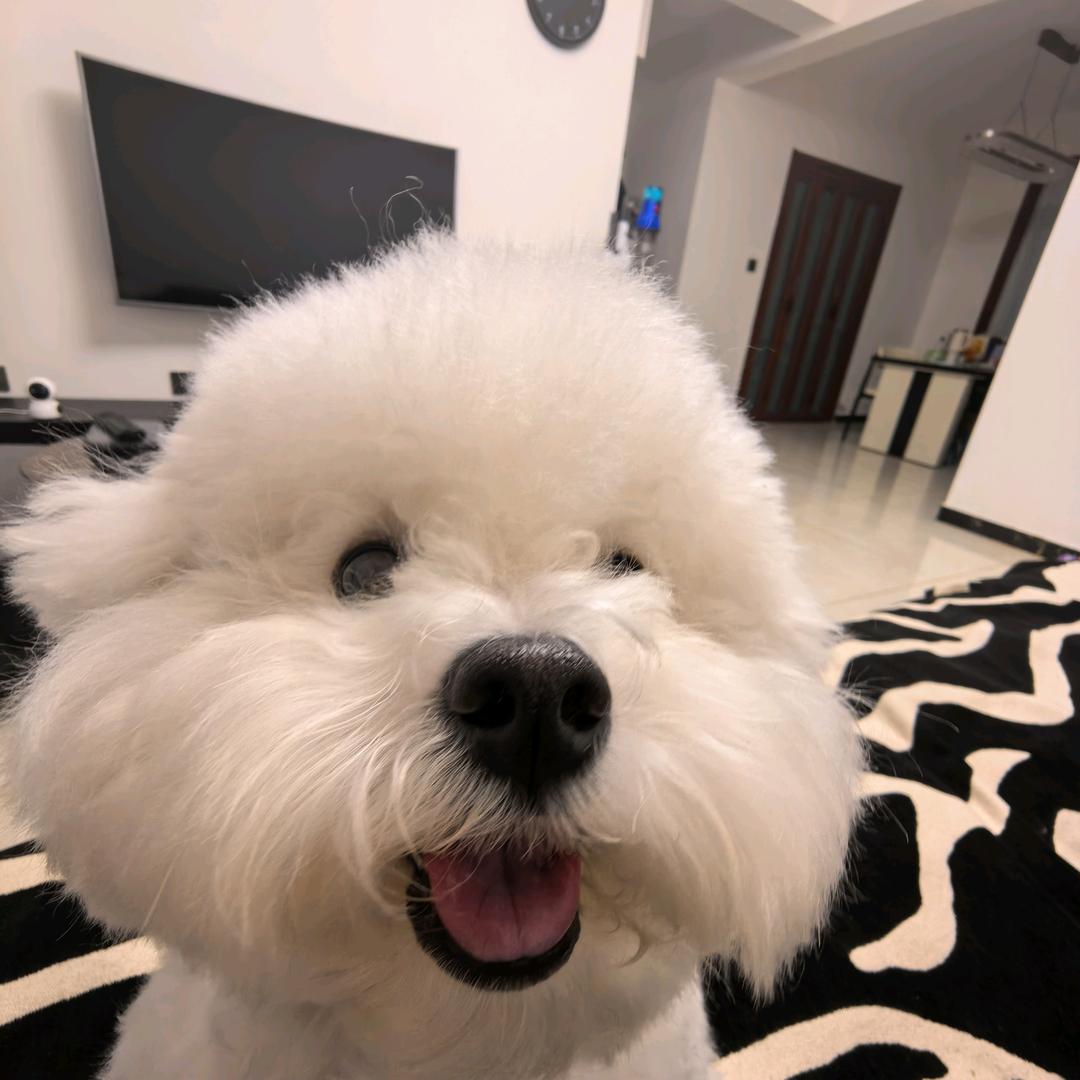 ︍