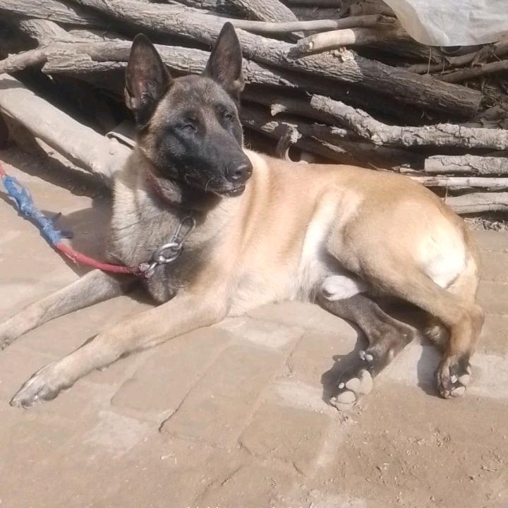 使命