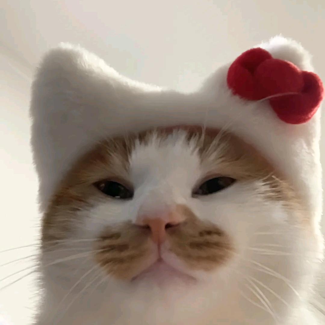 嘘