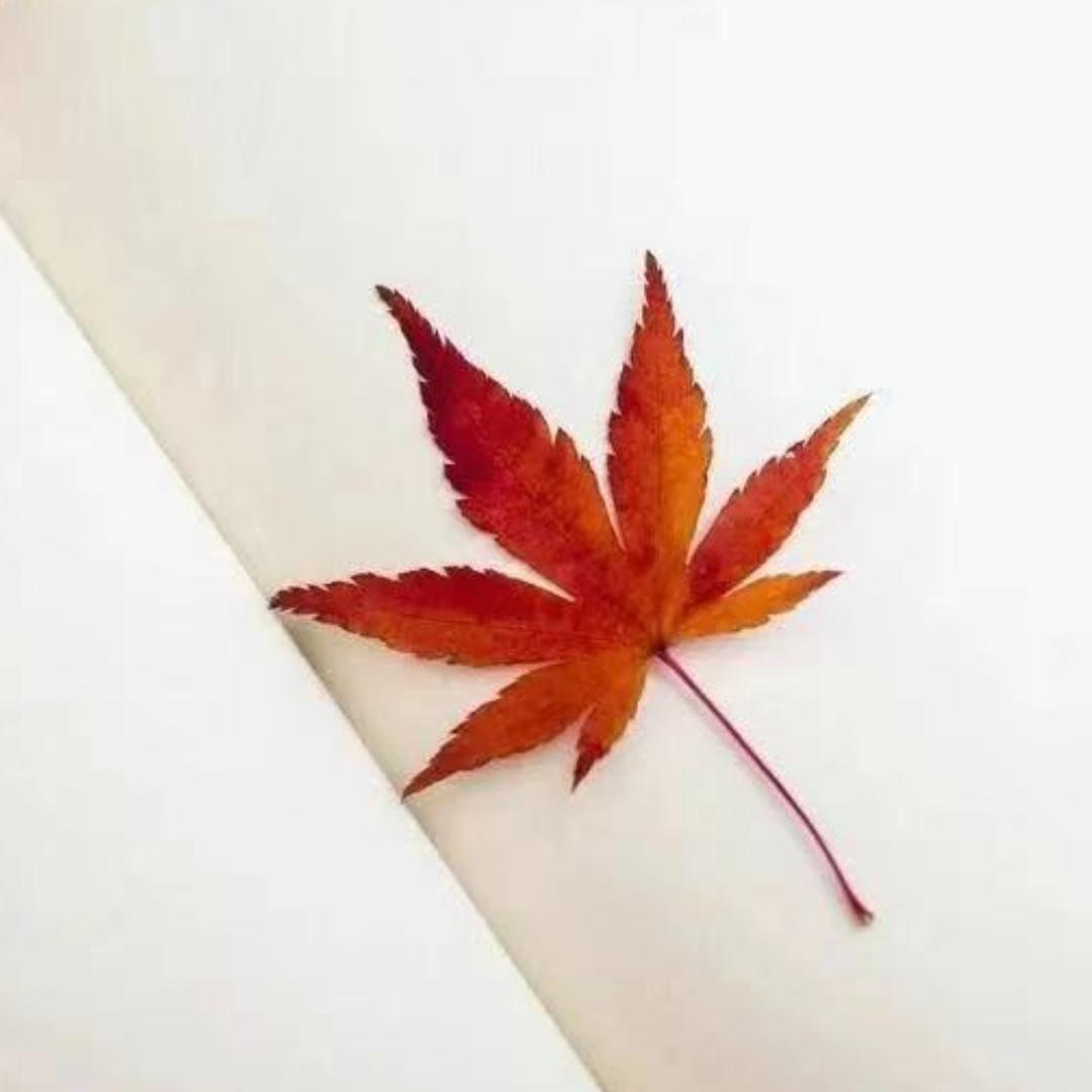 ⁽⁽ଘ( 静默 )ଓ⁾⁾