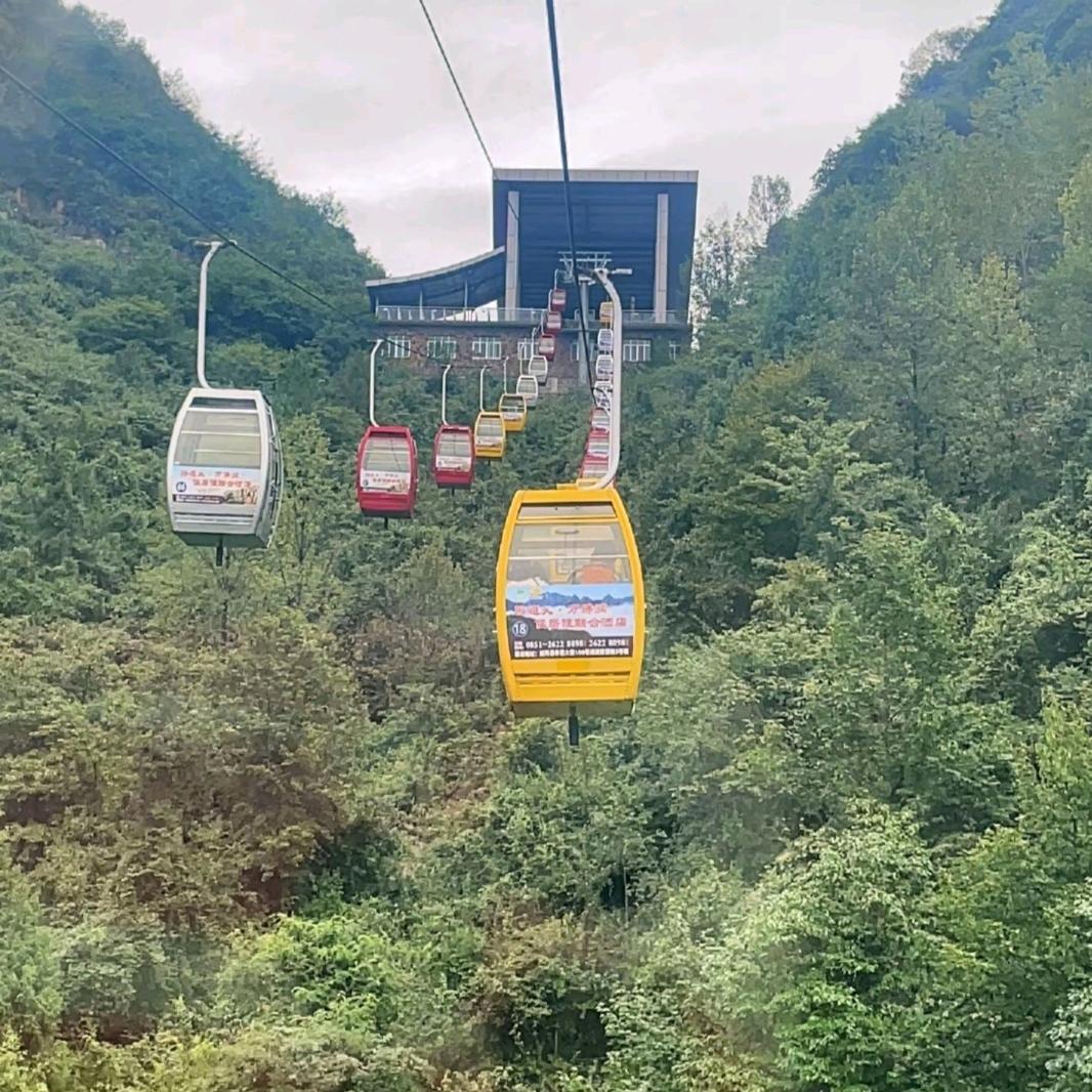 无名哥