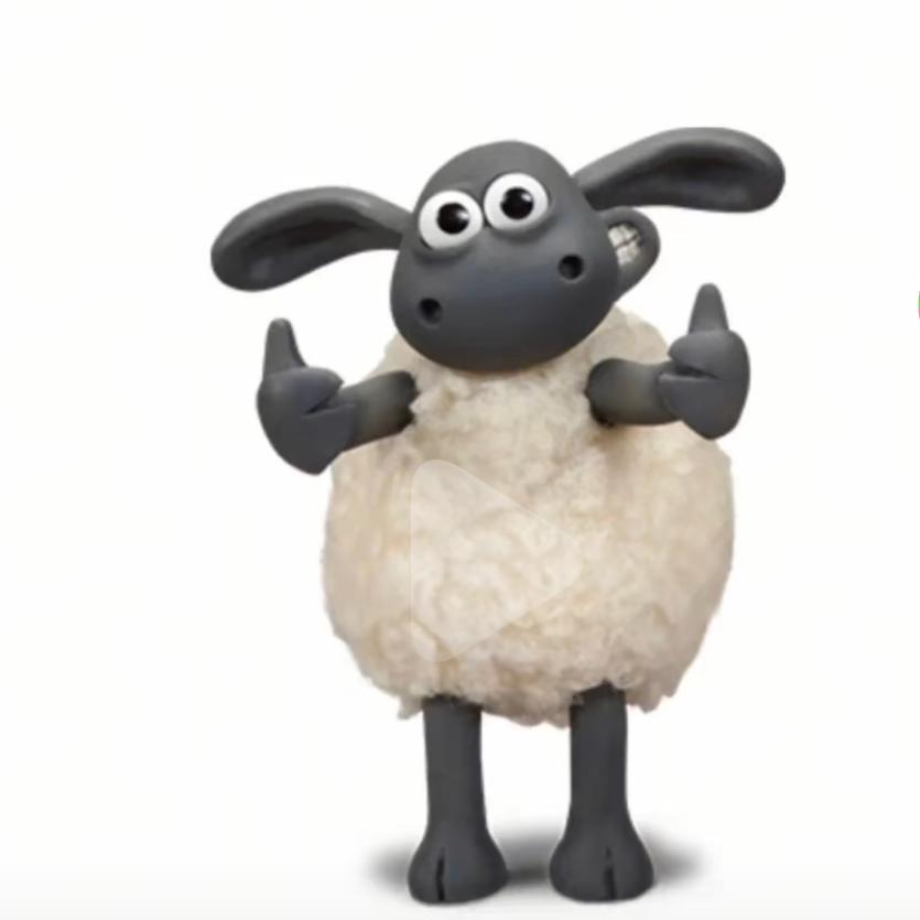 回见（授课中）