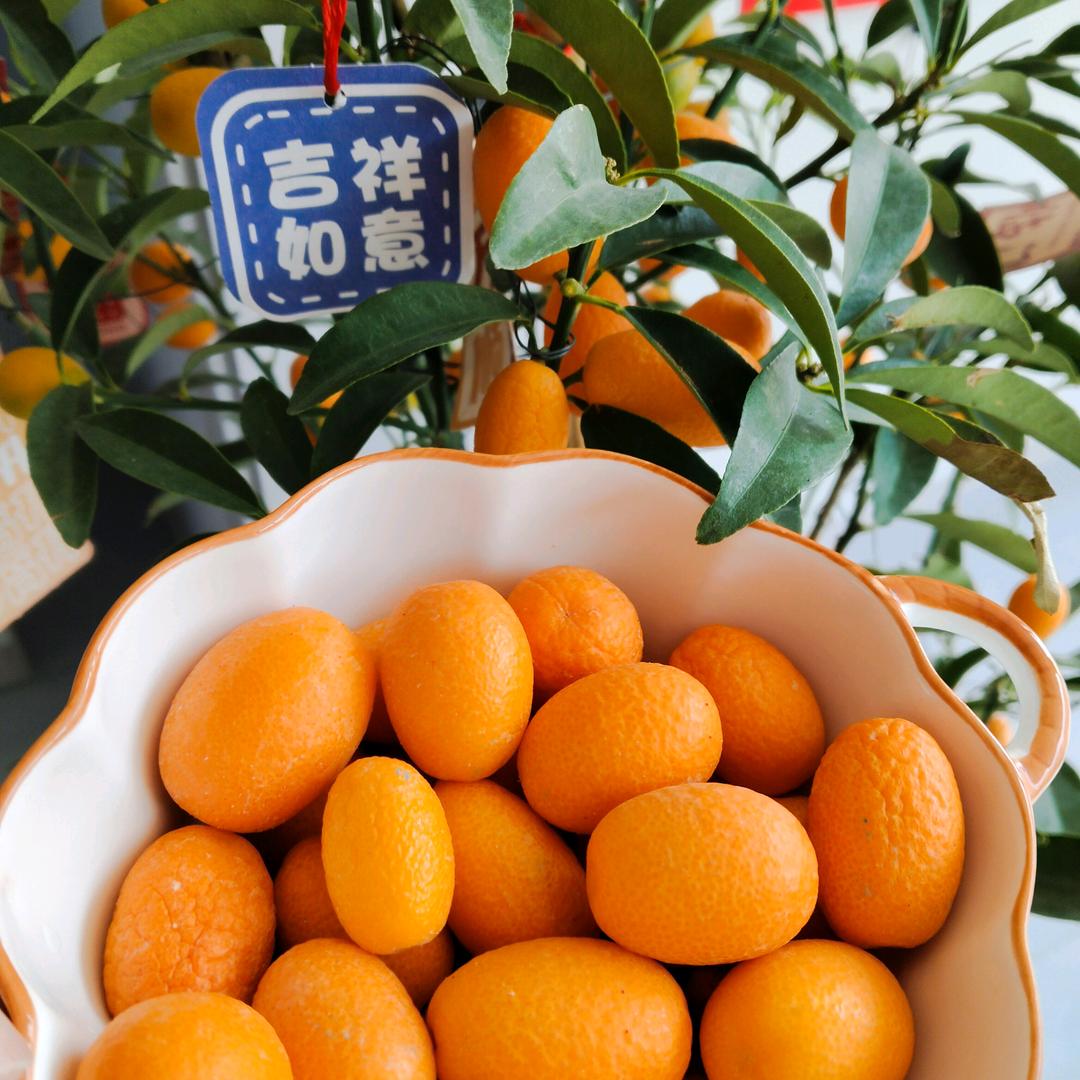 青苗亲子