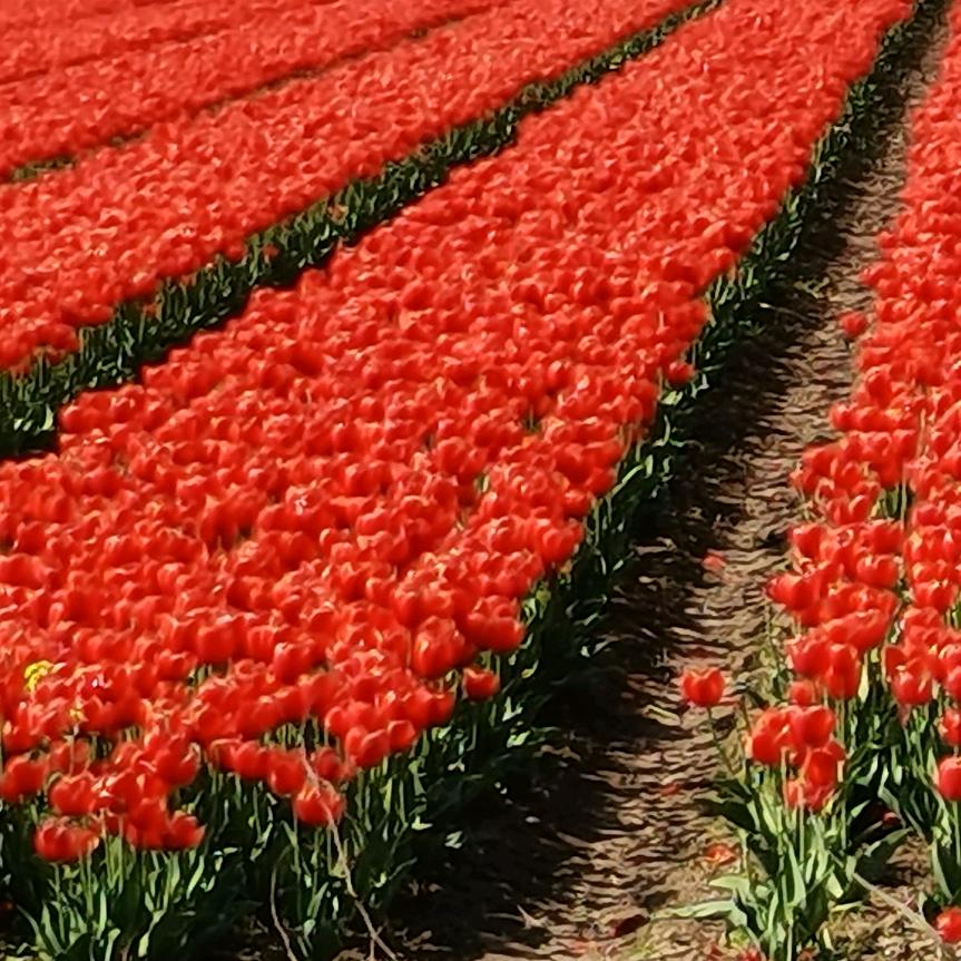 缘来有你在，亮