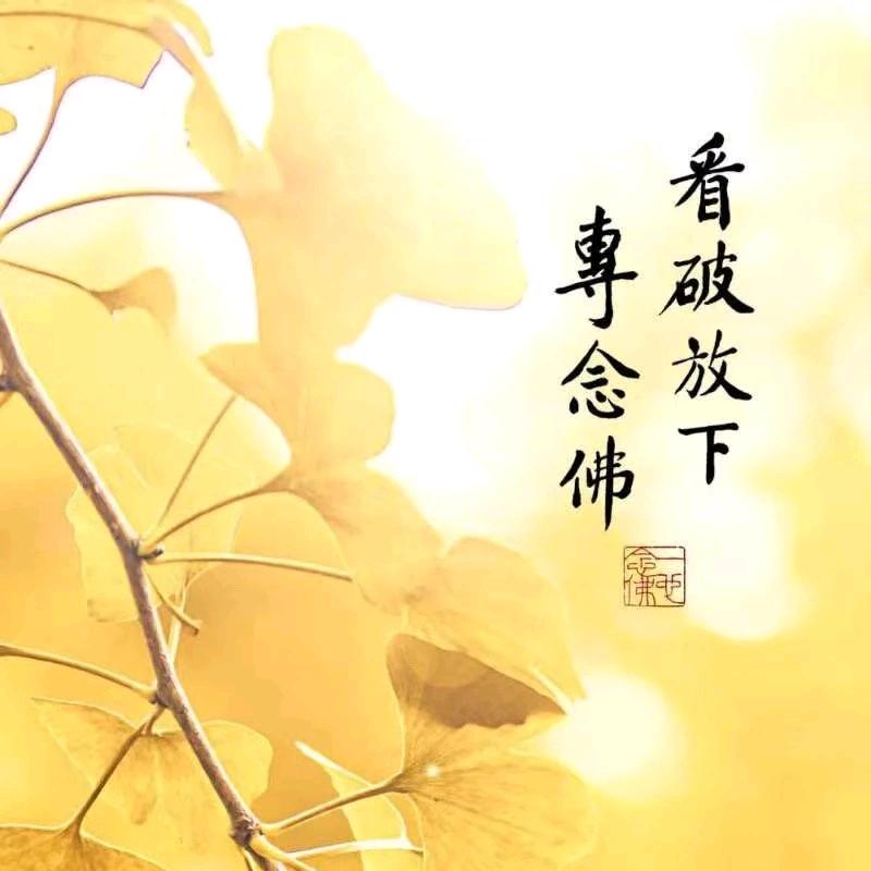 因缘果