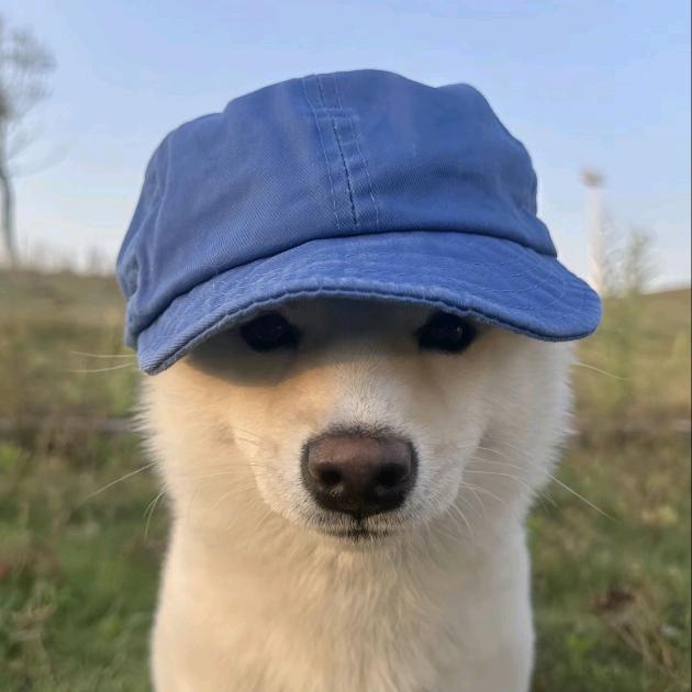 yan.