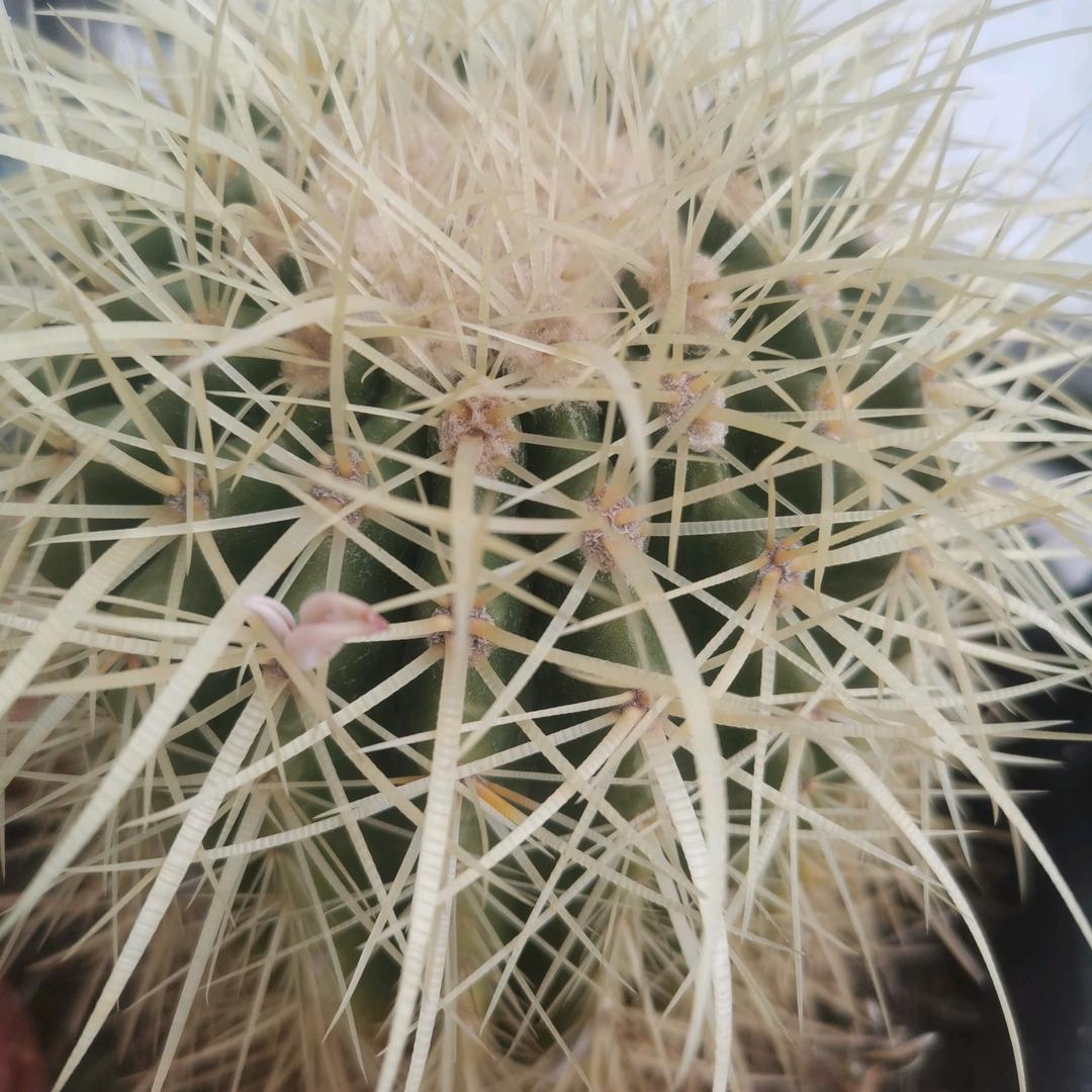 厚德载物