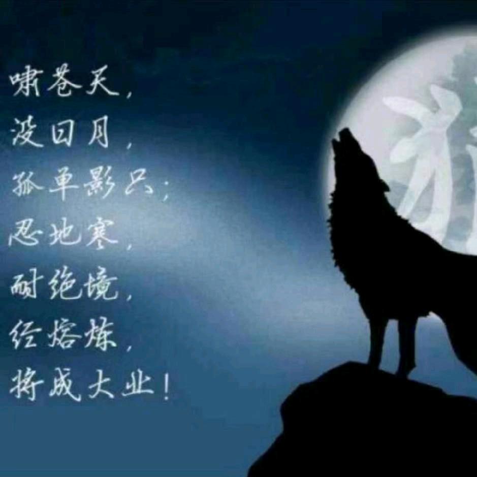 野狼钢筋夜班突击队