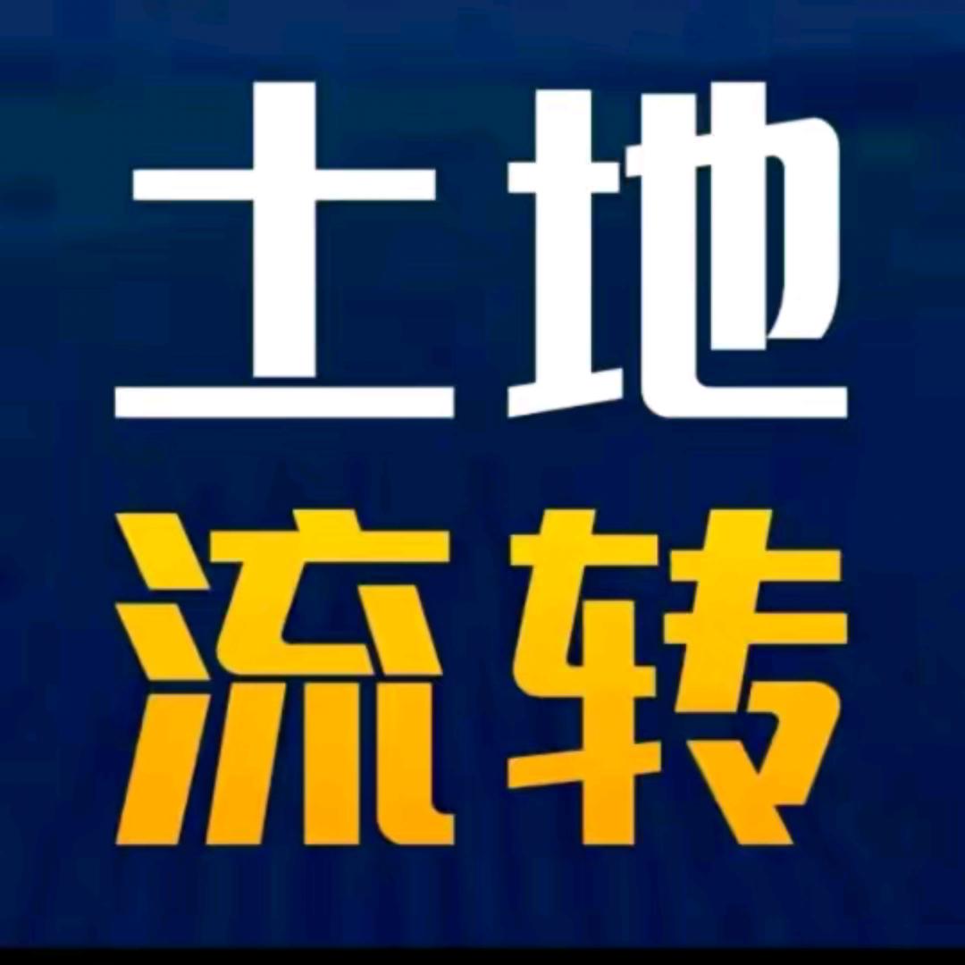 💞大量ღ收  购᭄阳光💕꧔ꦿ玫瑰