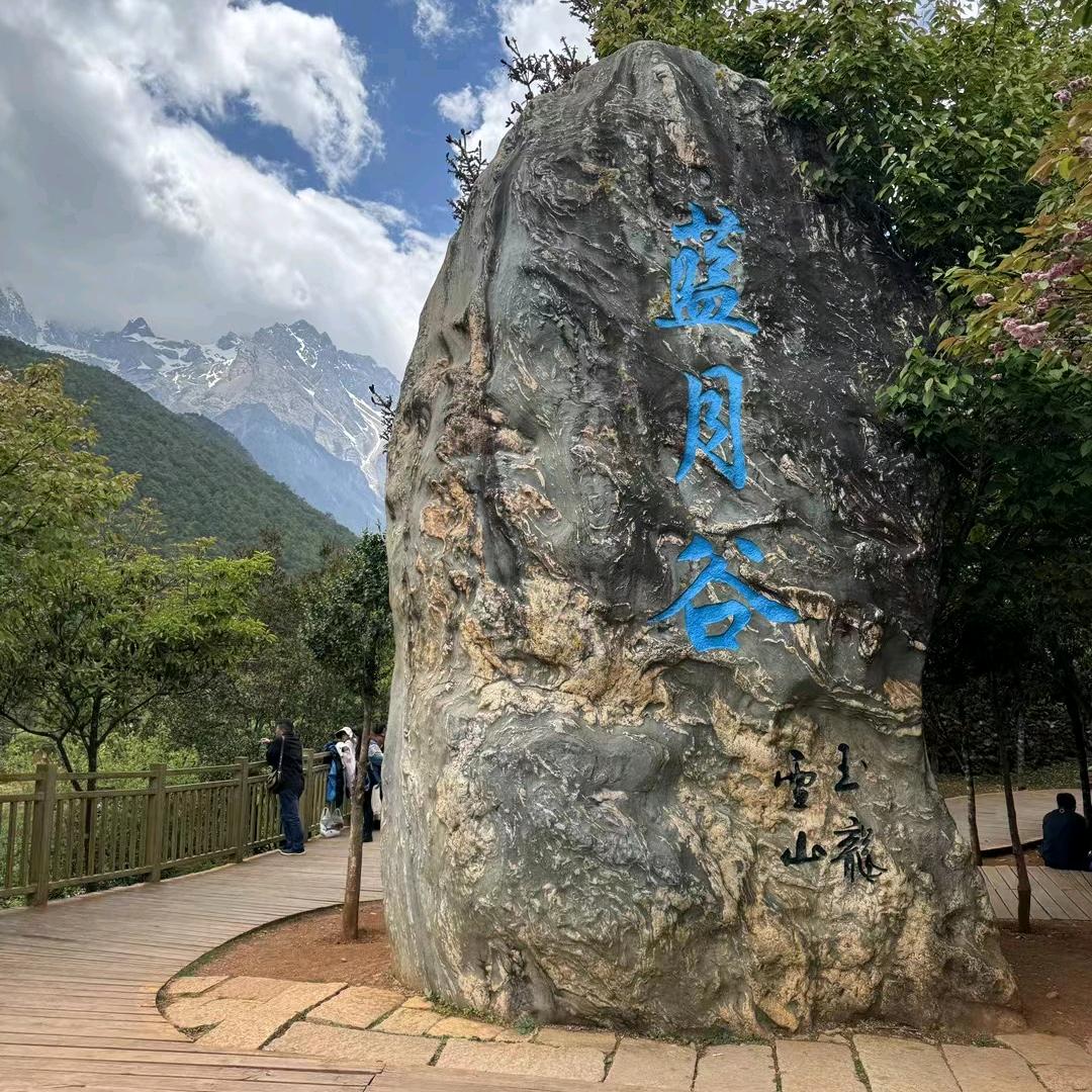 家电搬运工