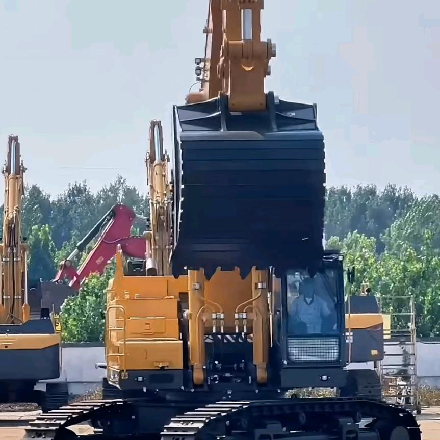 宏  鑫
