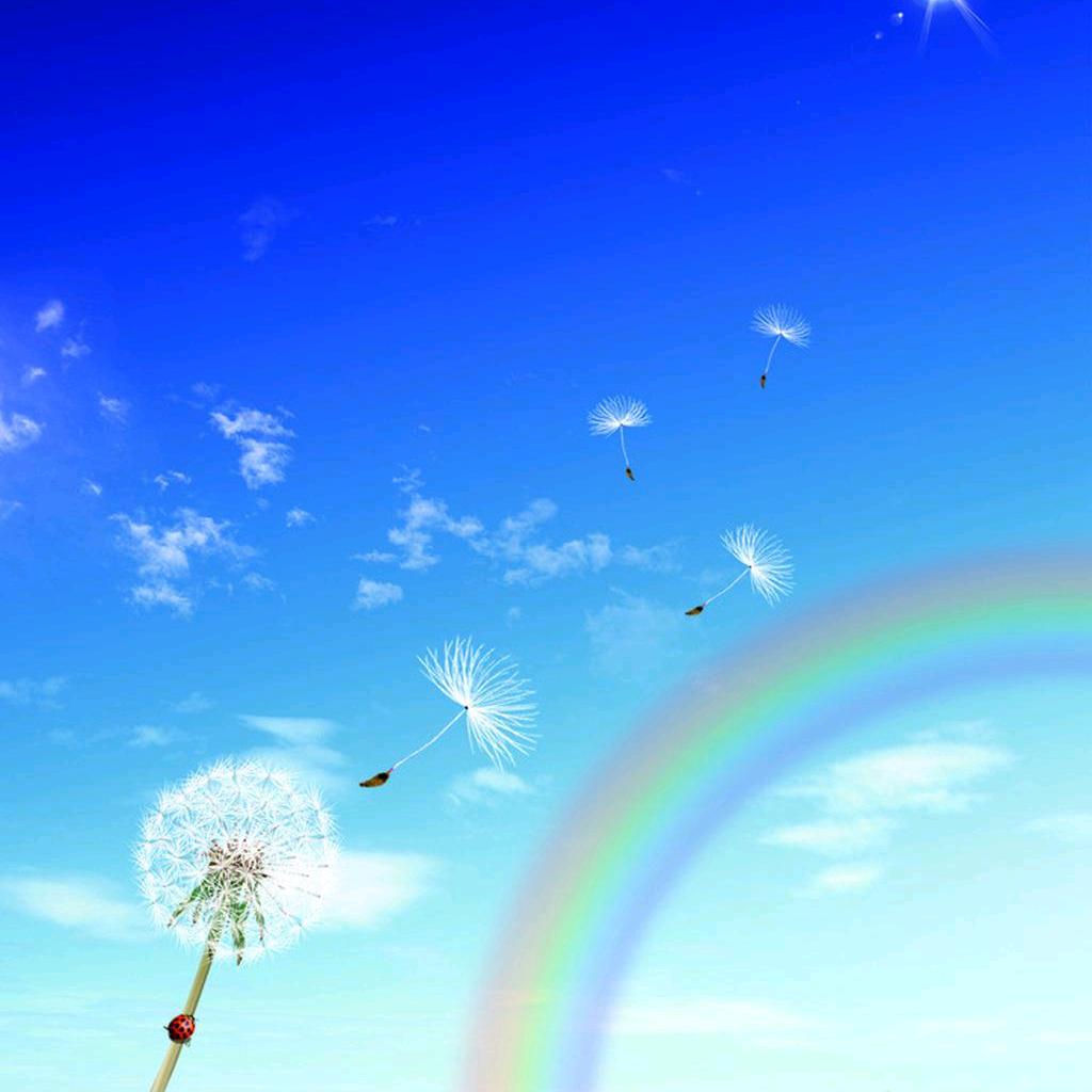 ꧁༺༽༾ཊ晴ཏ༿༼༻꧂🌈💨