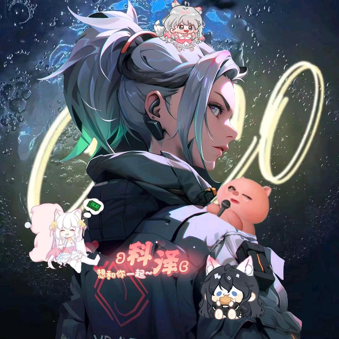 ʚ科泽ɞ