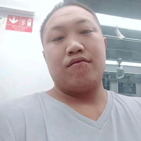 龙