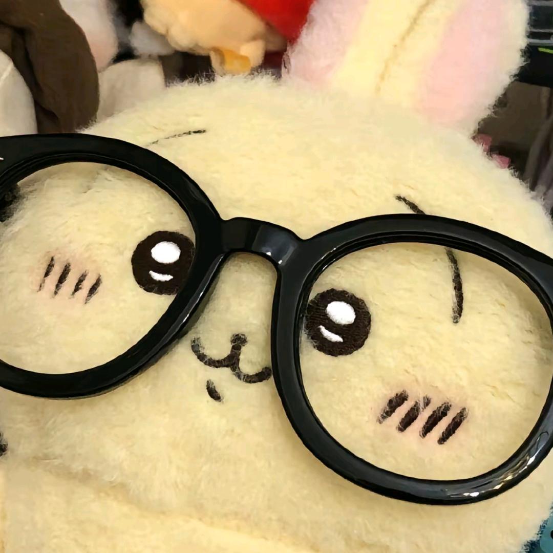 kimi是只猫