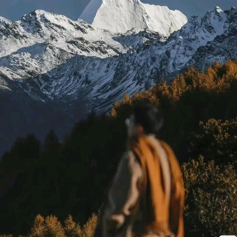 是小苏