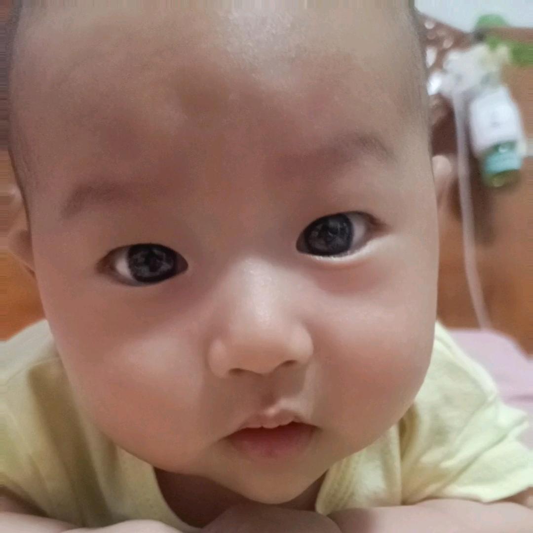 轩宝…………