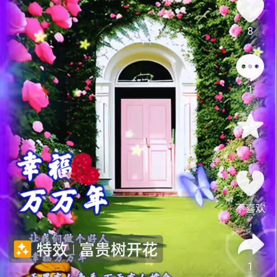 子兰头像