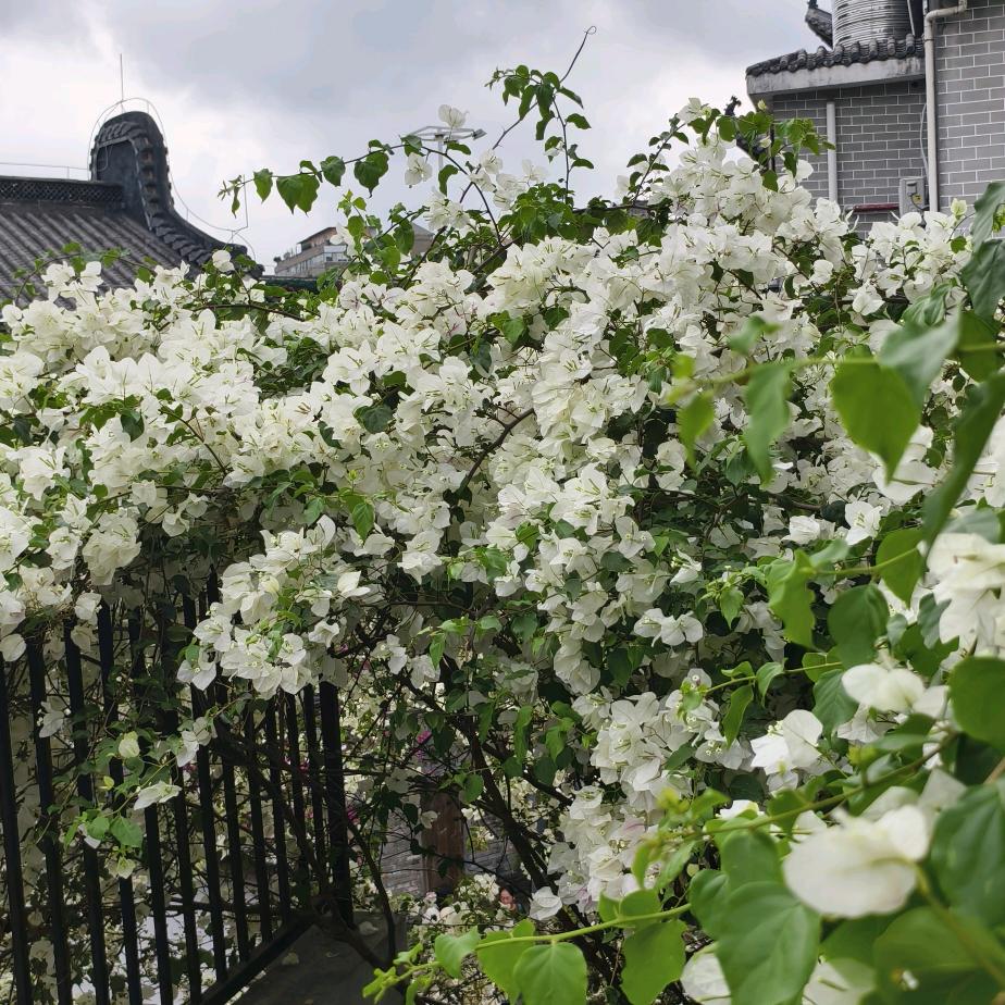 玩抖音就是为了自己开心