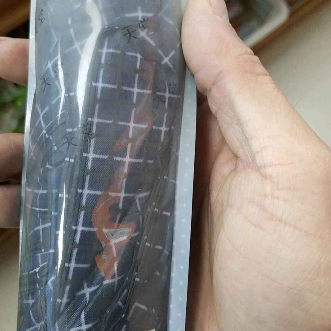 永不离去