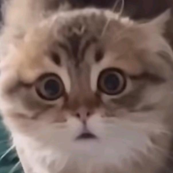 一个无奈的timing