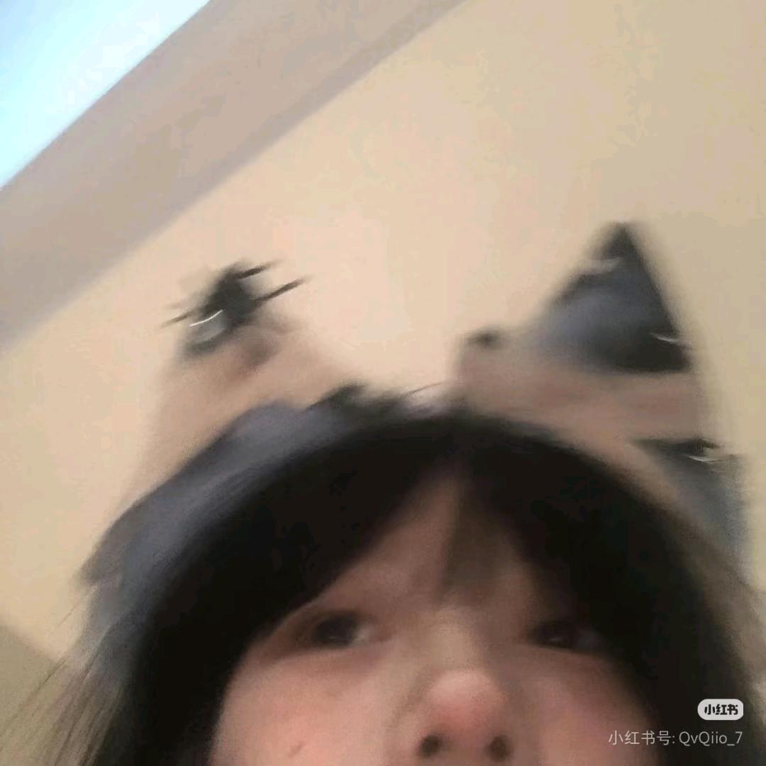 番茄炒笨蛋