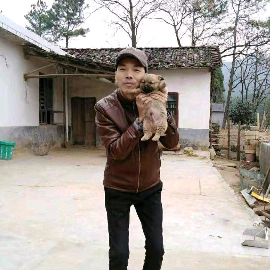 宁乡陈半仙