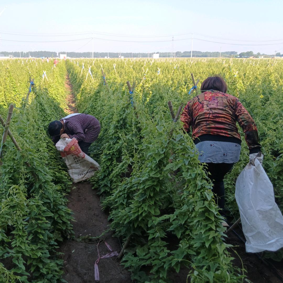 怀新家农副产品