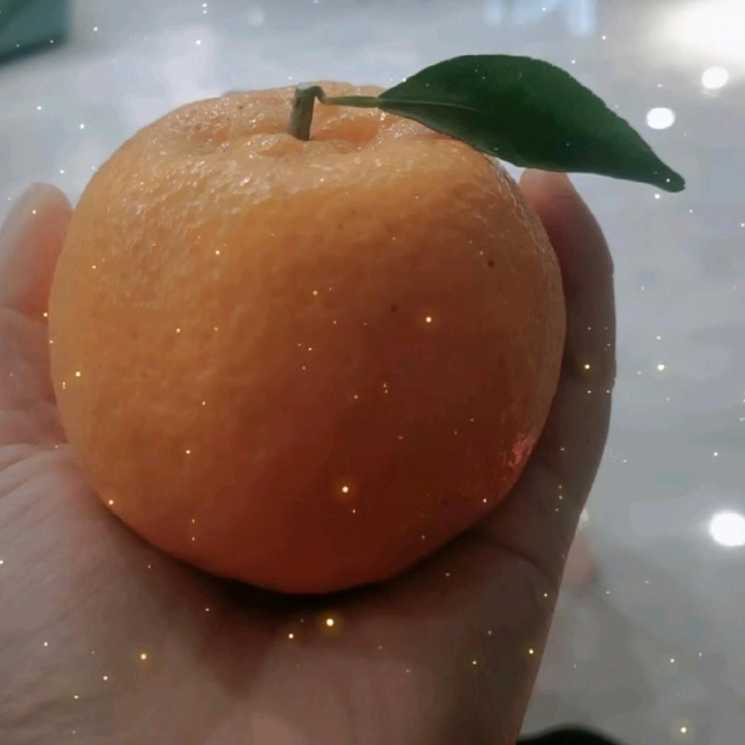 半个橘子🍊