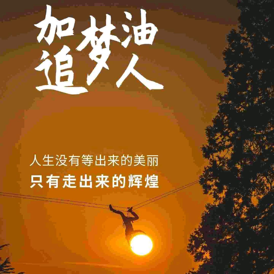 阳阳手机用户51790355105
