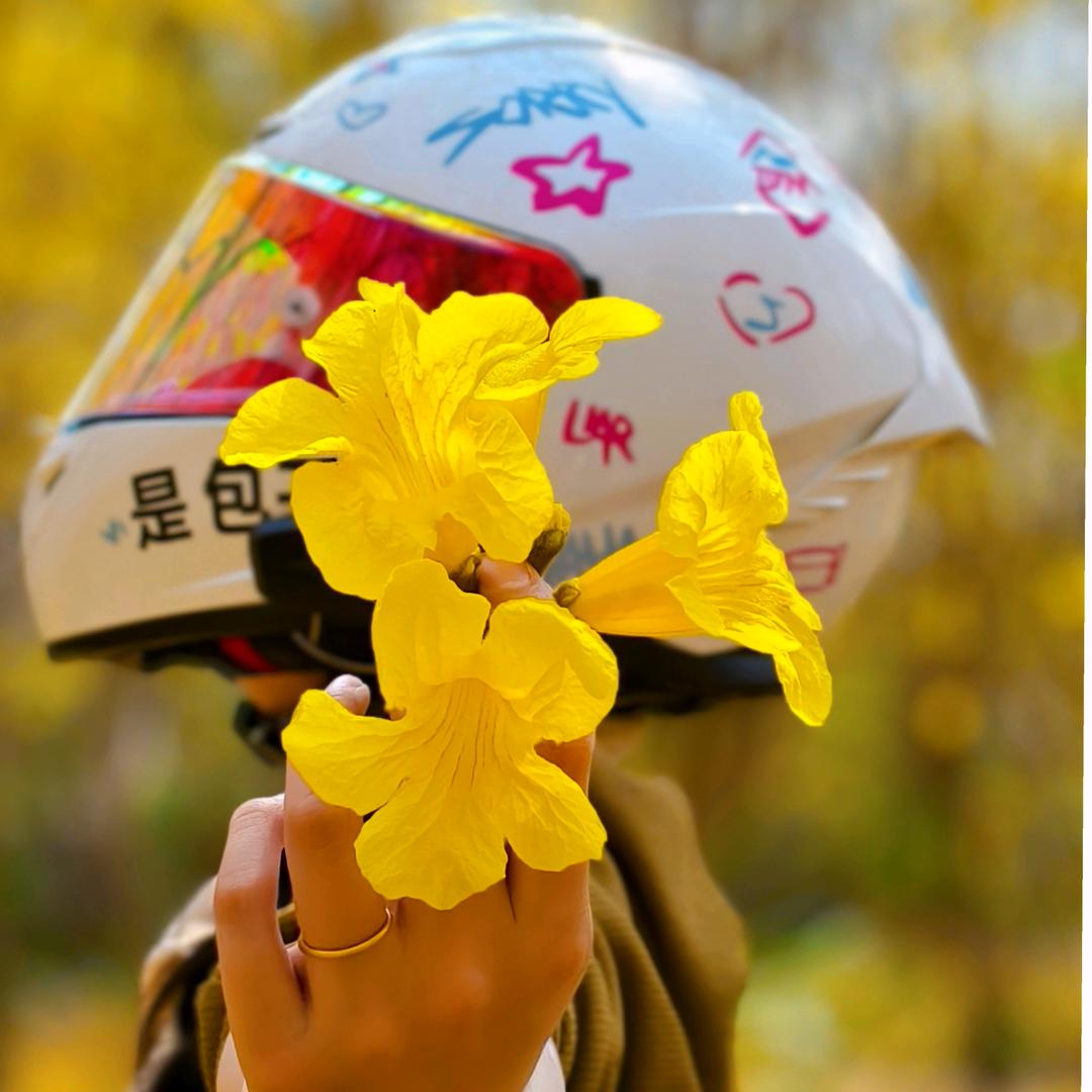 是包子哦🏍️💨（卖螺蛳粉版）