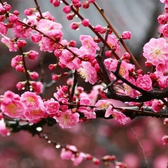 凯哥，等你归来。