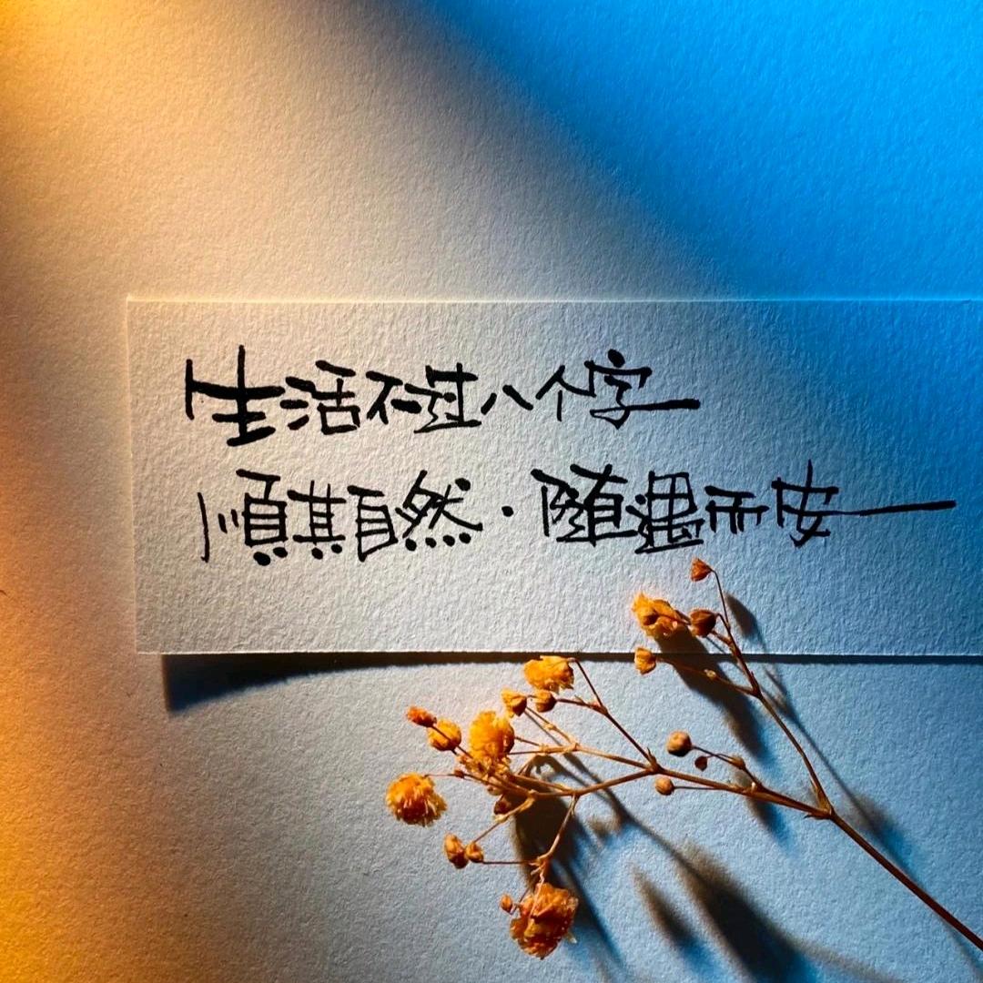 🦋ꦿ໊余生᭄🕊随心᭄