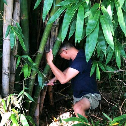 竹子批发老雷，