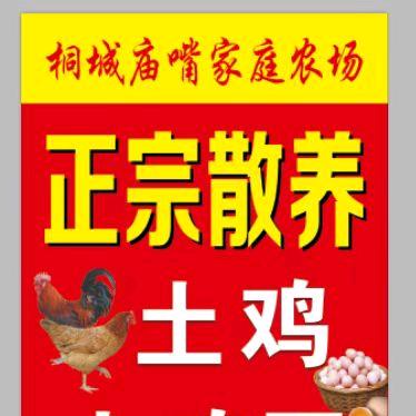 庙嘴农庄＋快递春花1825564882