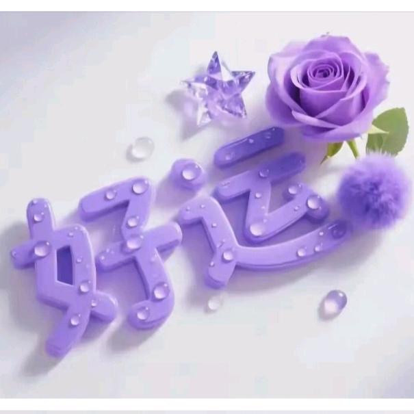 孤独的我没人疼