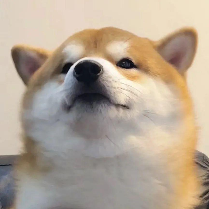 白果。