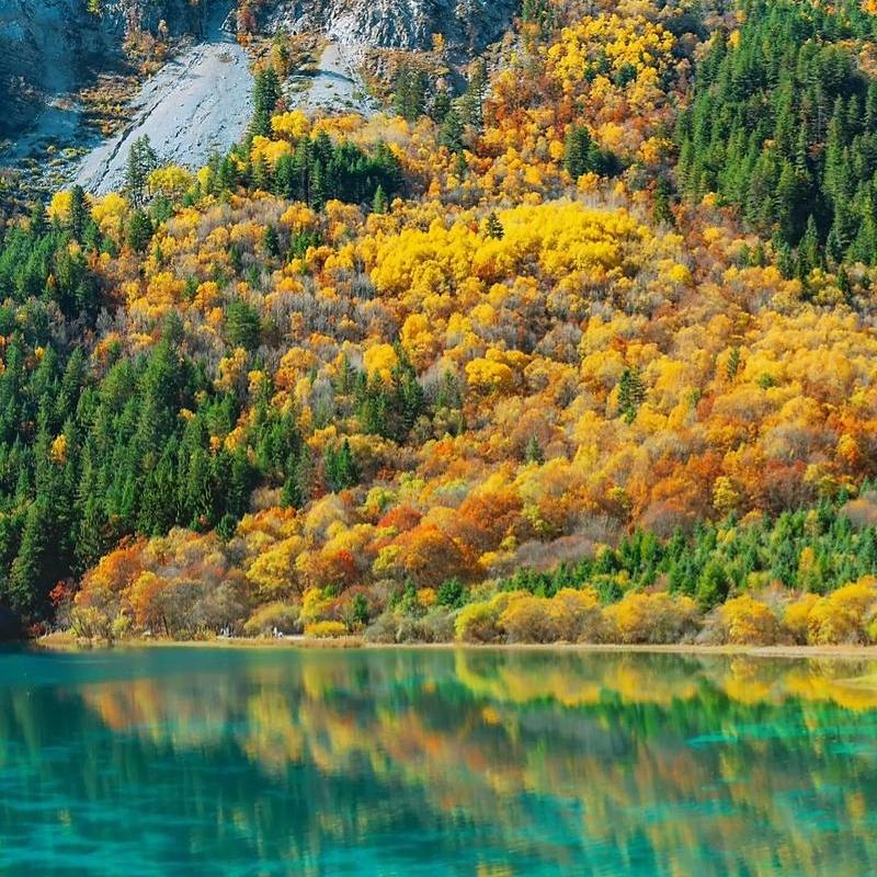 风景