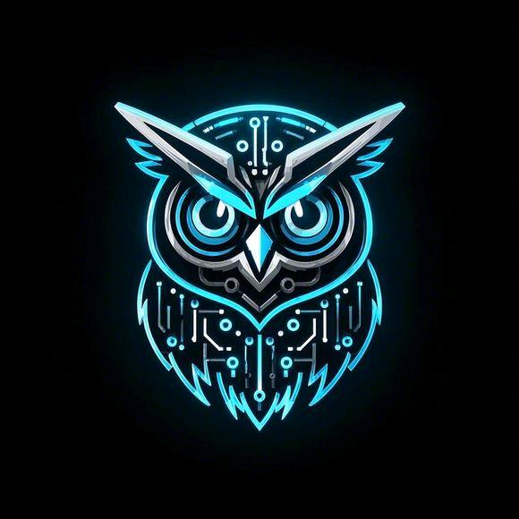 猫头鹰互联网科技