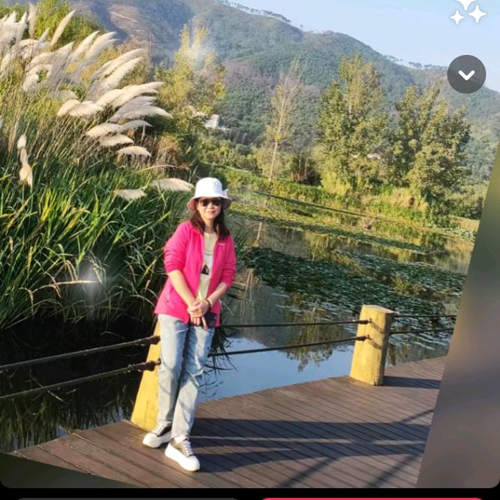 小黄豆