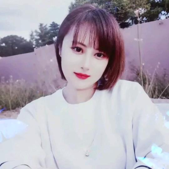 谷典小盏花