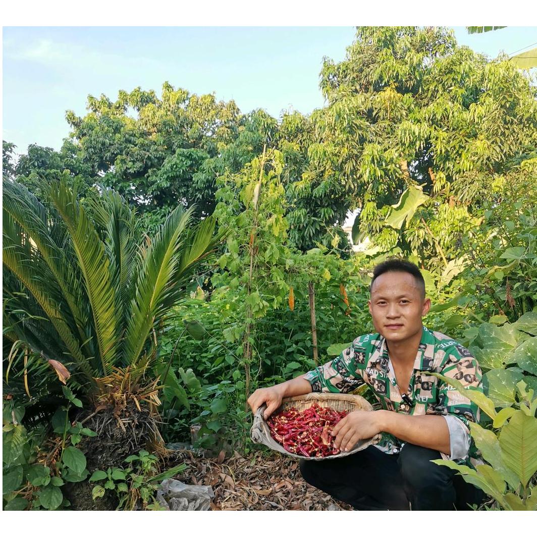 良田优品（周江）