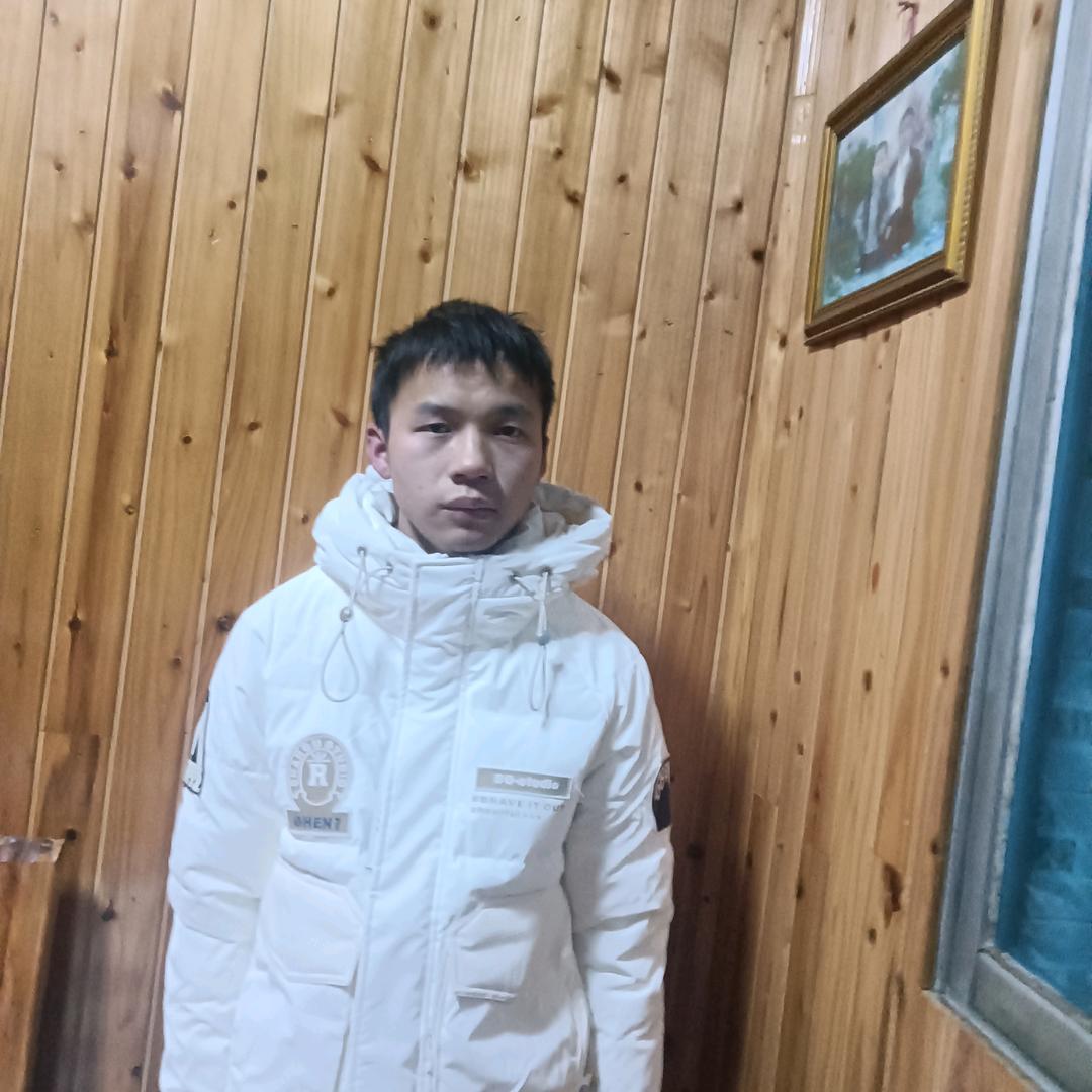 冷抚风月