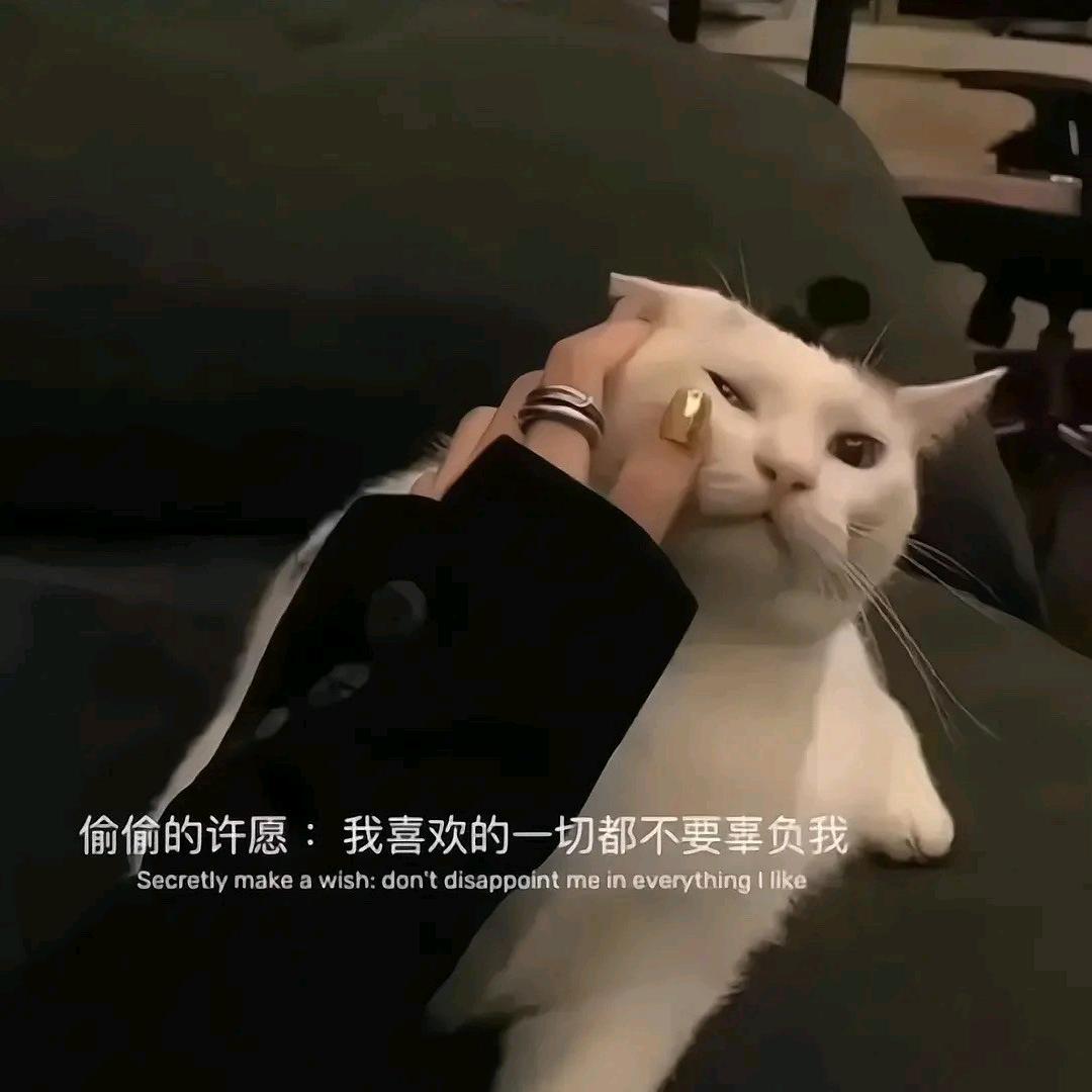 平安喜樂❤️