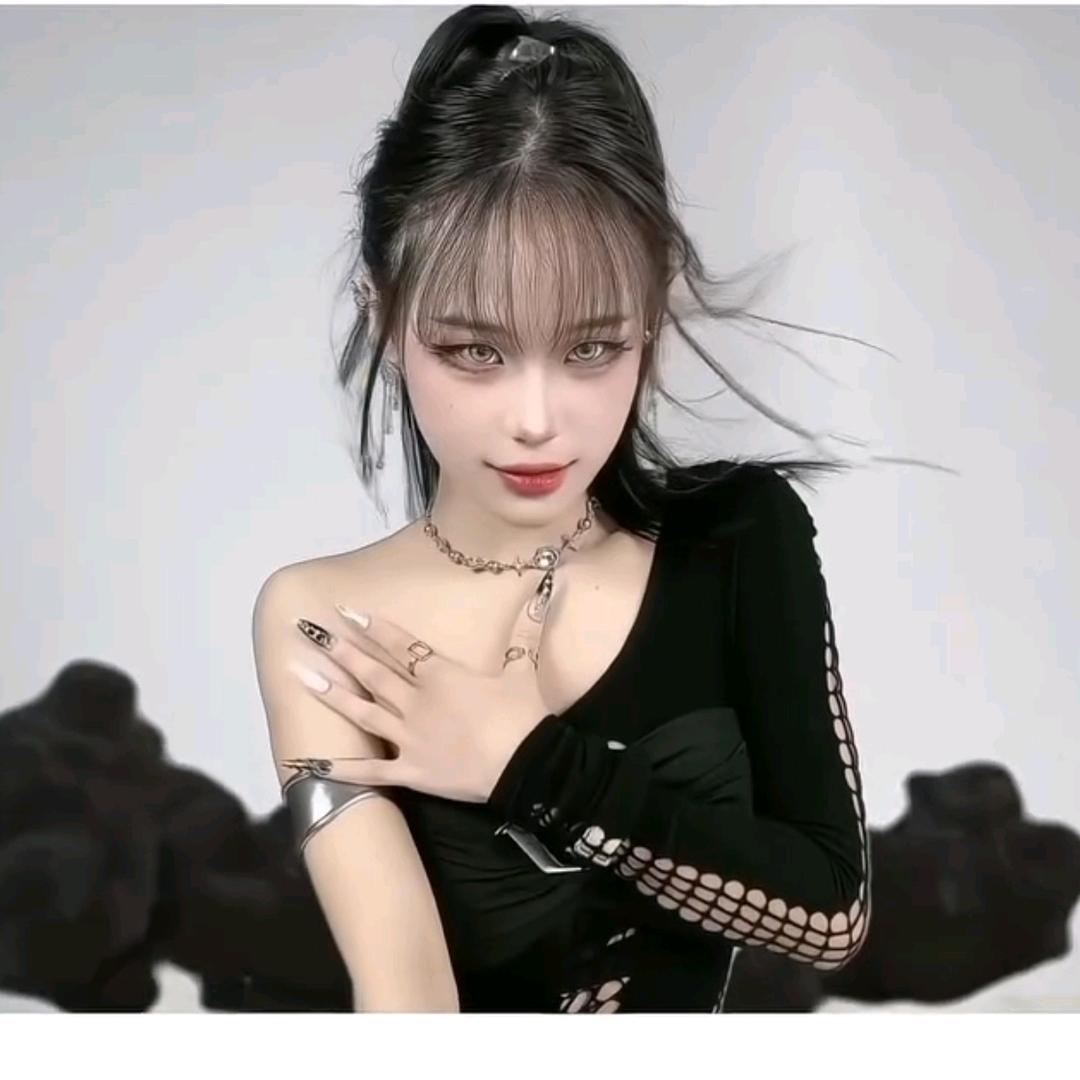 凌晨的猫