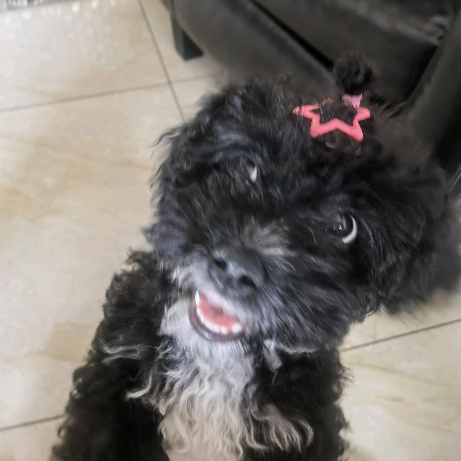 淇玟