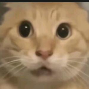 干嘛