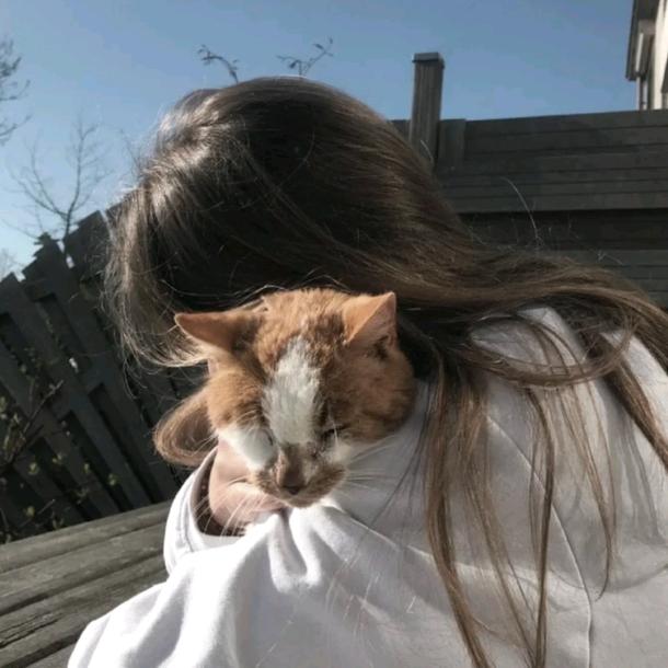 不会数学会数数还是0.5的萌妹子