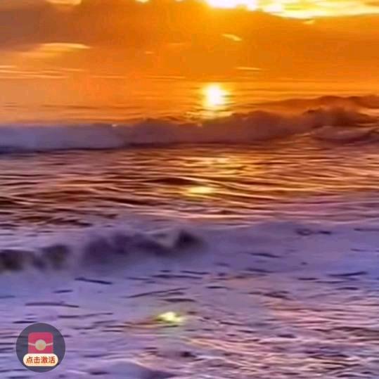 仁行千里🌻☀️