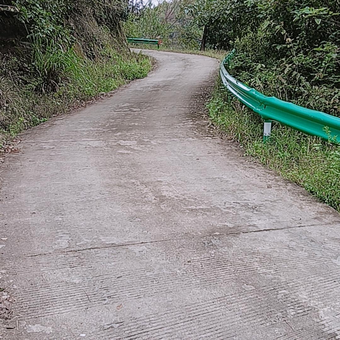 燕子河艳阳天小区兰花草